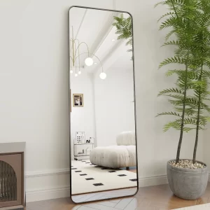 #XM 01-01 Black Large Rectangular Full Length Mirror - 25.5" x 66.5"