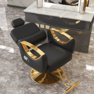 #BL 03-09 Black Leatherette Salon Chair with Reclining Backrest - Gold Frame