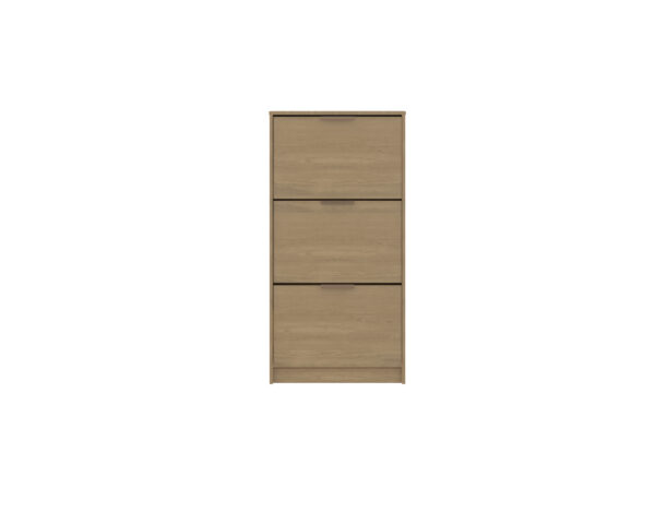 #1035.110 Dakar Oak 3 Door Shoe Cabinet - Image 3