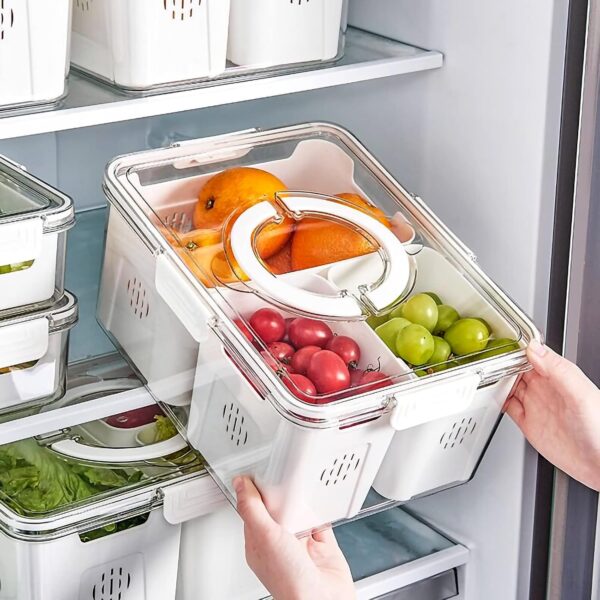 #ZT 06-04 3 Divider Multi-Use Plastic Storage Container