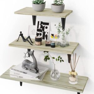 #XK 04-03 Green 3PC Floating Shelves with Black Metal Brackets